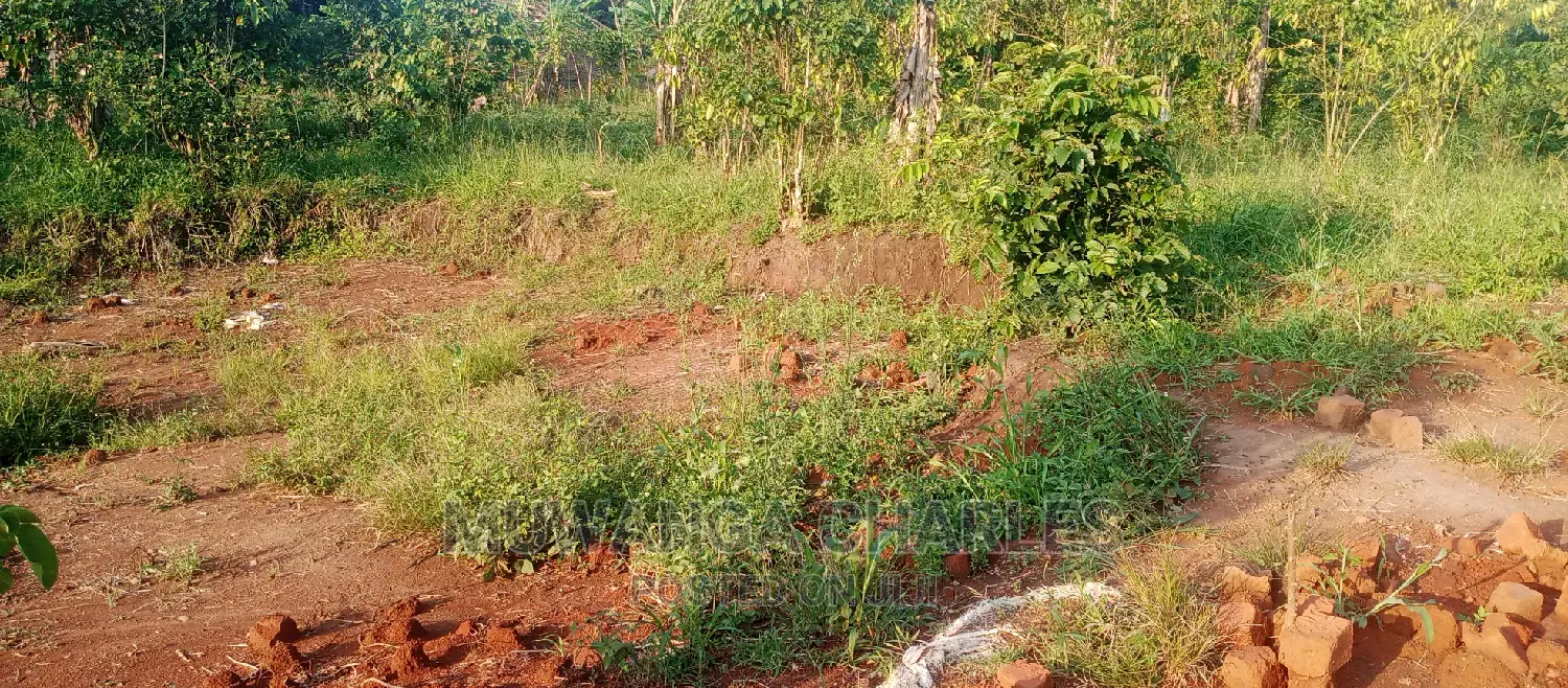 Plots Is Available for Sale in Busika