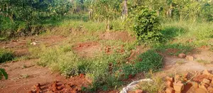 Plots Is Available for Sale in Busika