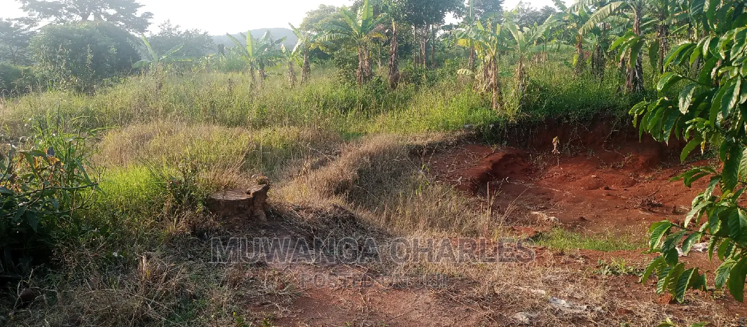 Plots Is Available for Sale in Busika