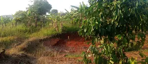 Plots Is Available for Sale in Busika