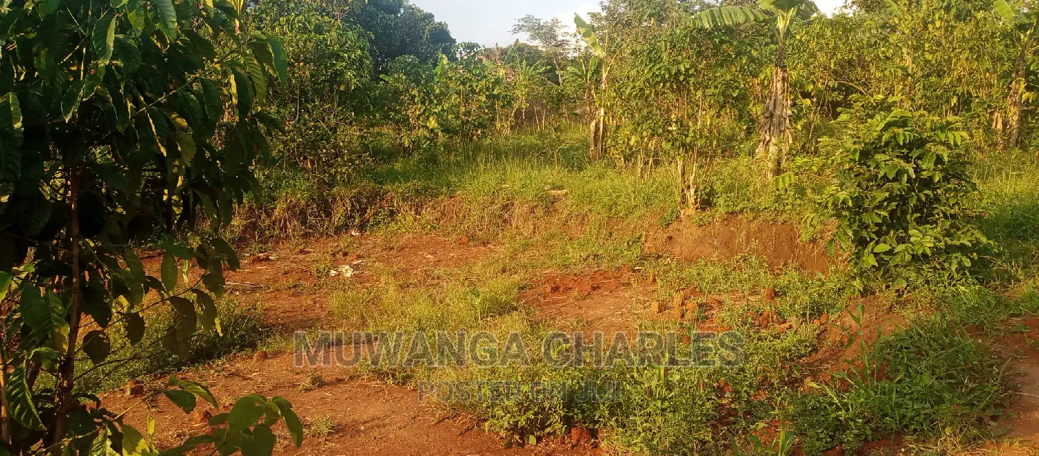 Plots Is Available for Sale in Busika