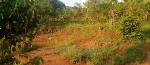 Plots Is Available for Sale in Busika