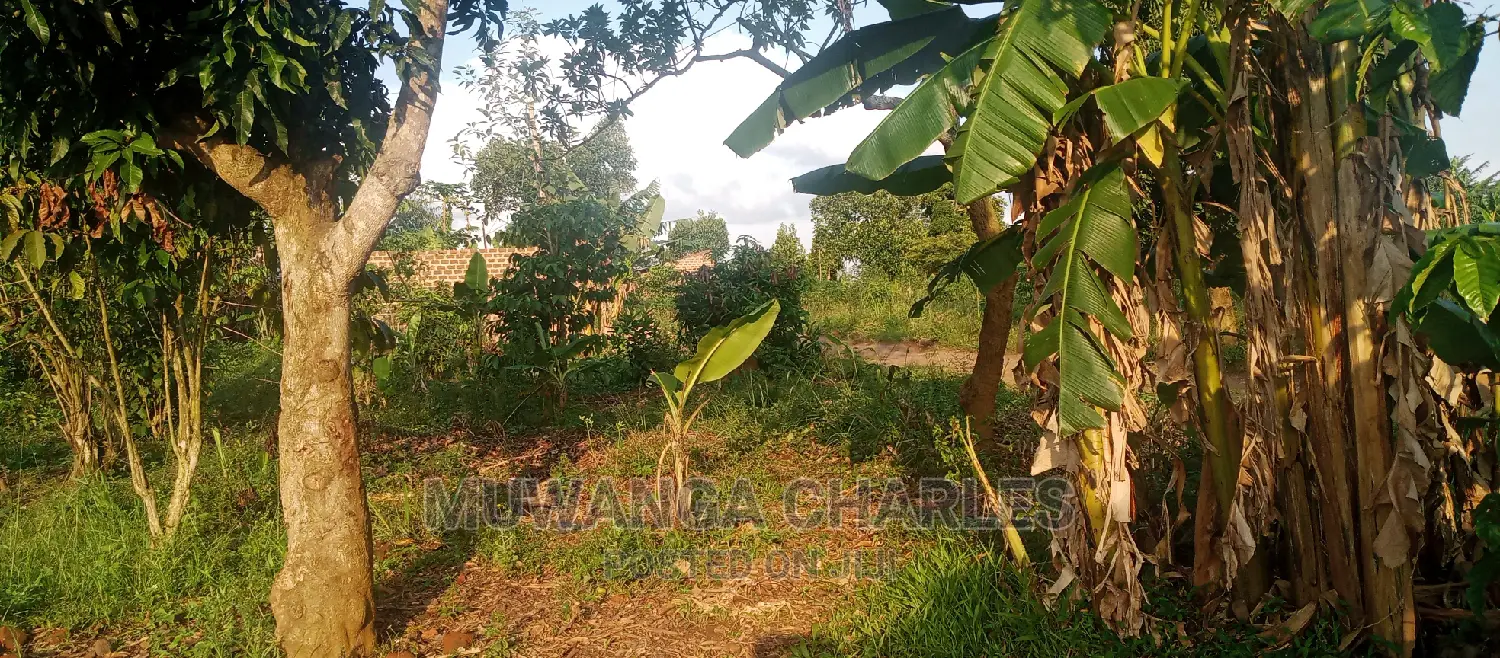 Plots Is Available for Sale in Busika
