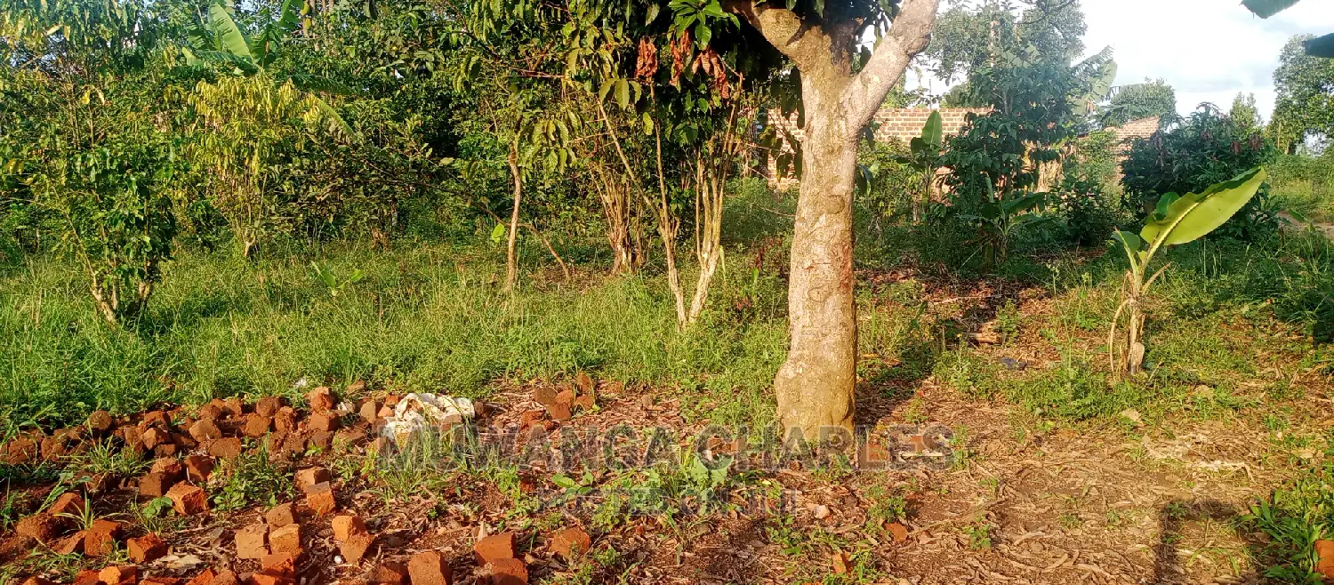Plots Is Available for Sale in Busika