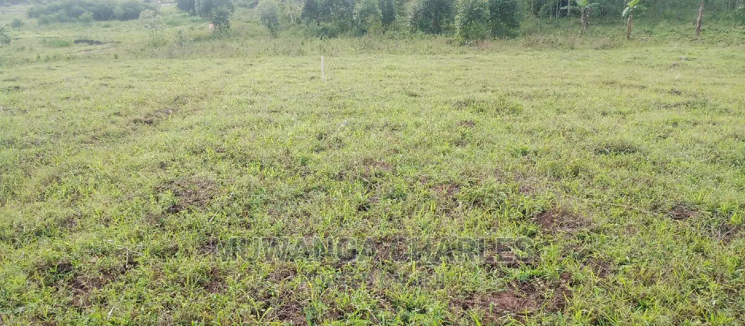 Plots Is Available for Sale in Busika