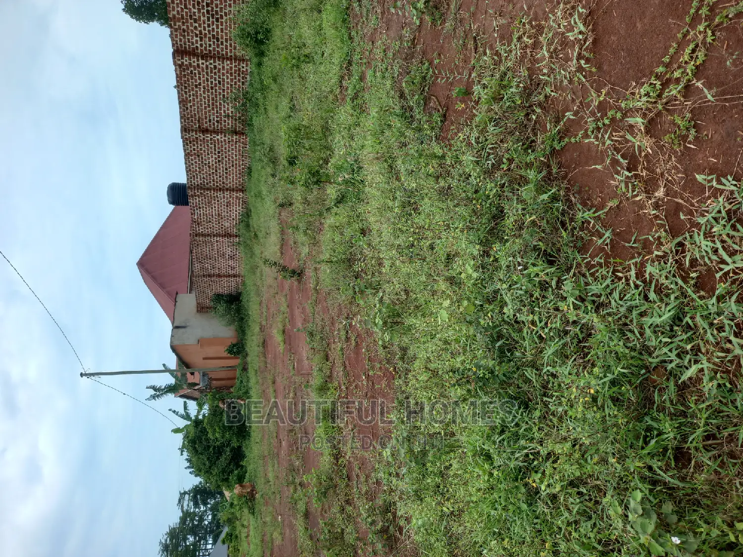 Kira Classic Plots on Sell