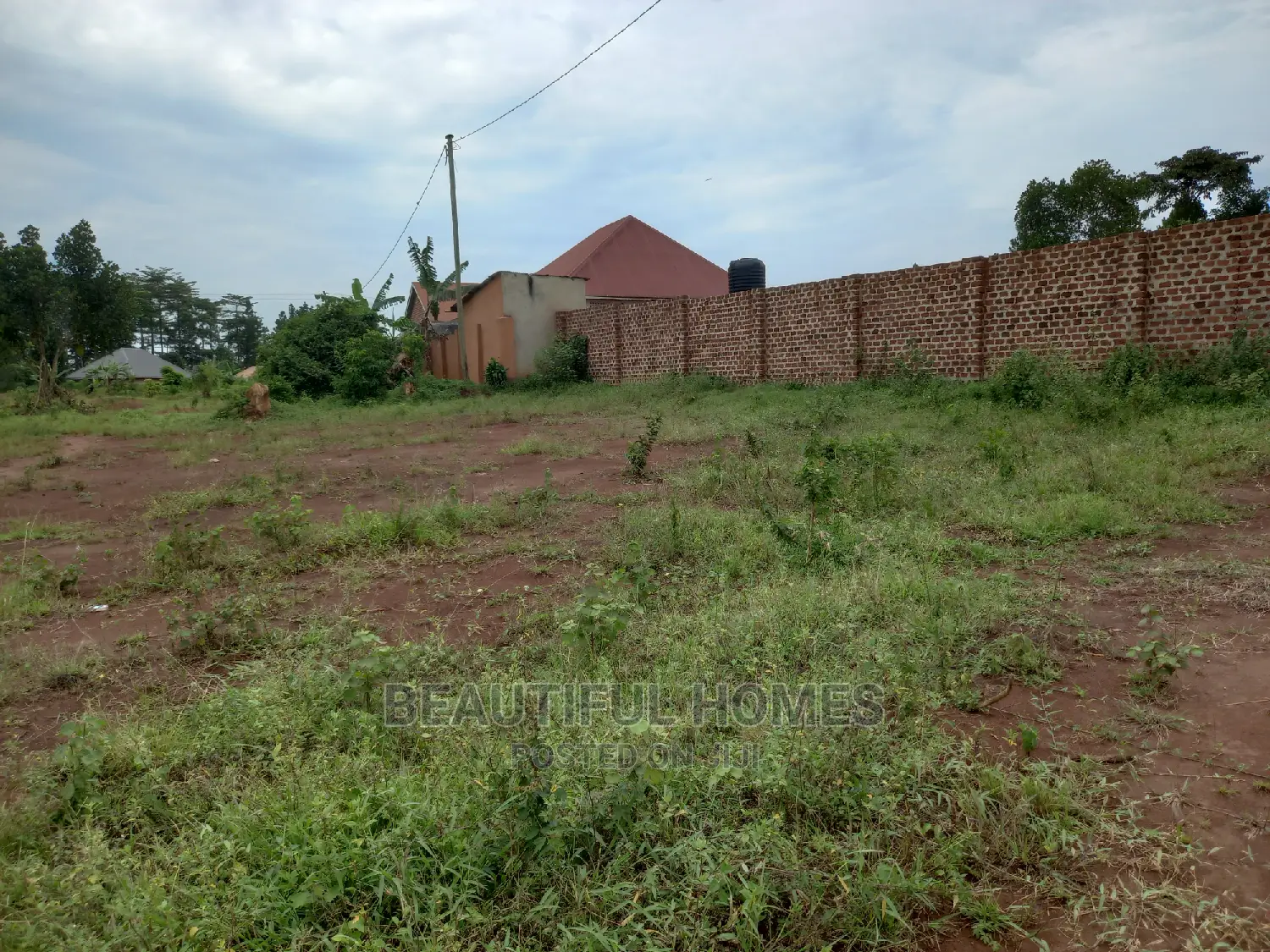 Well Price Plots in Kira on Sell