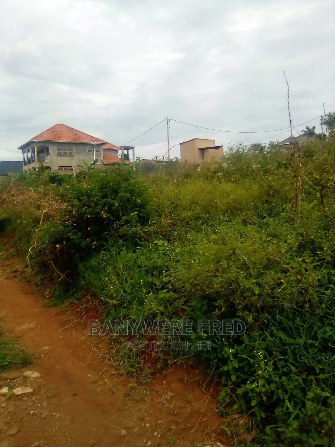 Plot for Sale in Jomayi Jogo 50/100