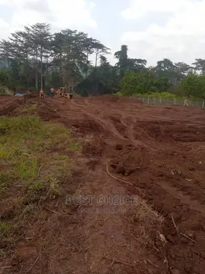 Land Scarping,Levelling,Compound Designing,Pave Laying.