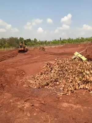 Land Scarping,Levelling,Compound Designing,Pave Laying.