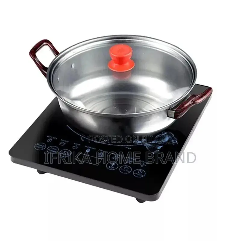 Induction Cooker (Electric Yodbit)