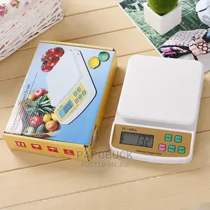 Electronic Compact Scale