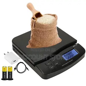 Electronic Compact Weighing Equipment.