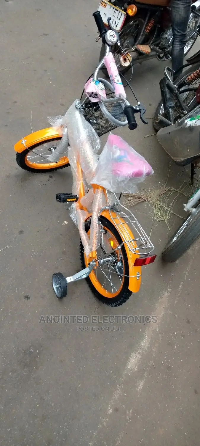 Kids Bike for Both Gals and Boys