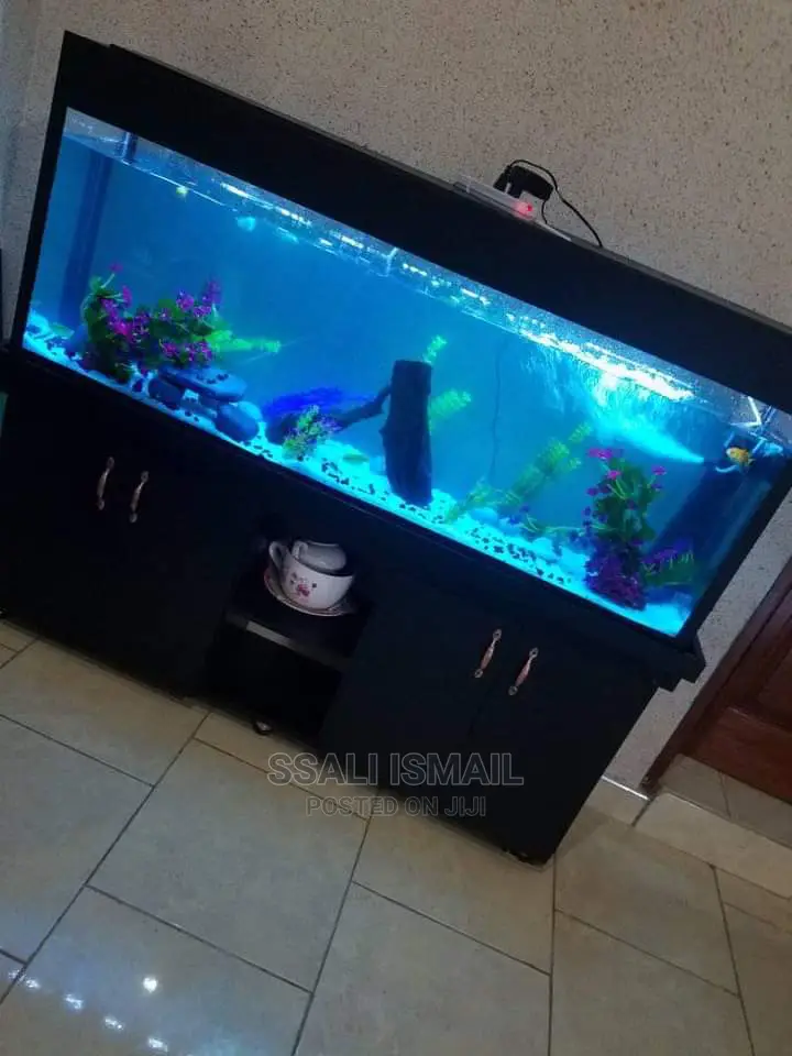 Smart and Durable Complete Aquarium