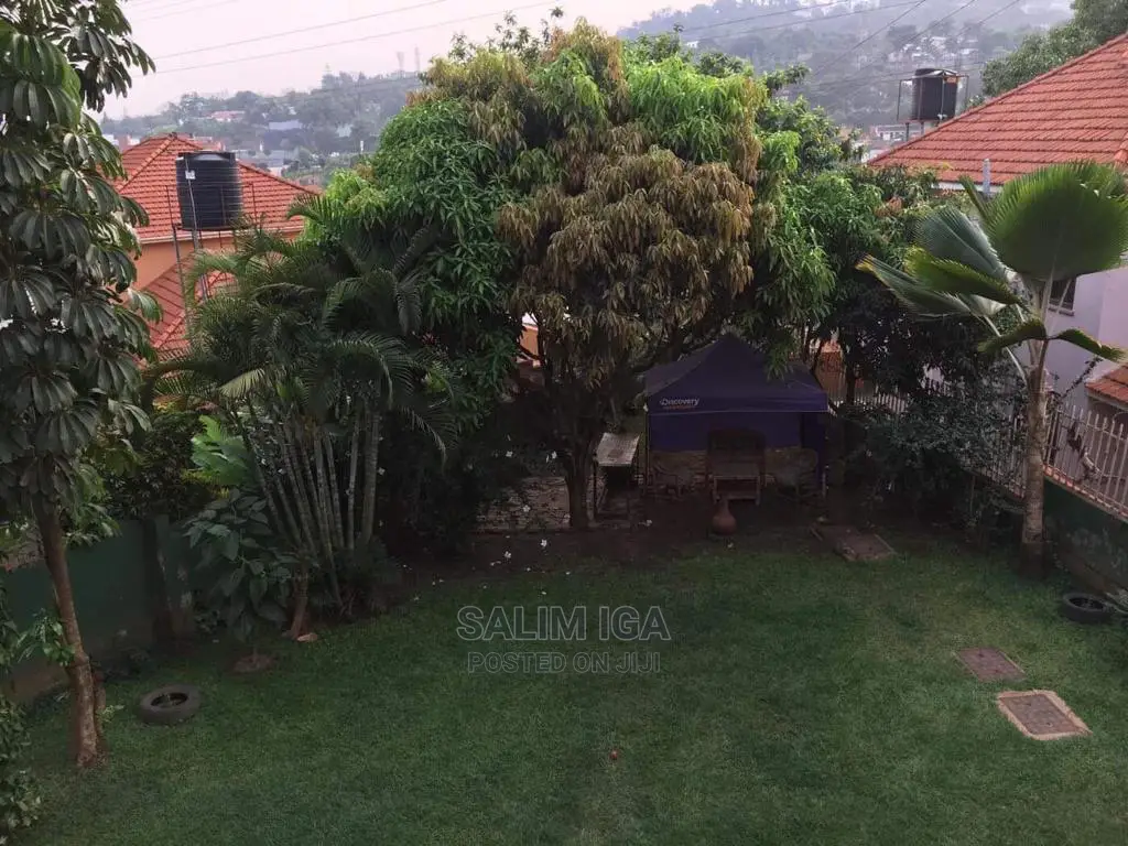 Furnished 2bdrm Block of Flats in Kololo Property, Central Division