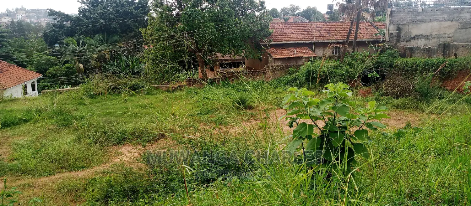 Land Is Available for Sale in Naguru