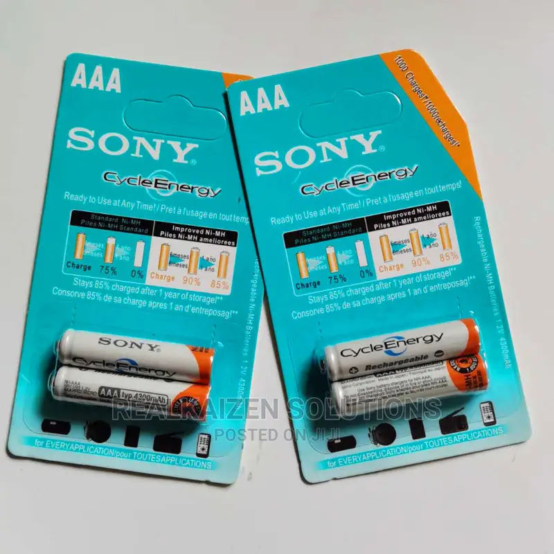 Sony Cycle Energy AA Rechargeable Batteries 4600mah