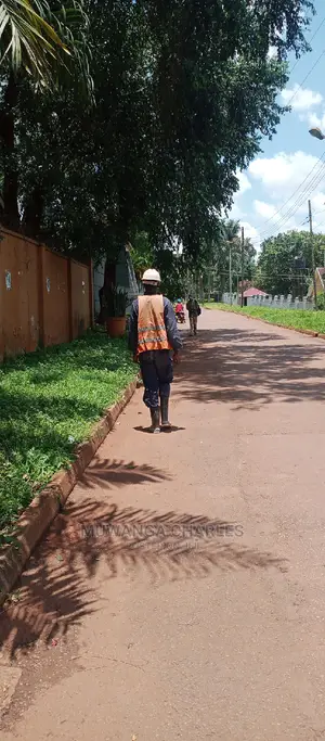 Plot Is for Sale in Kololo