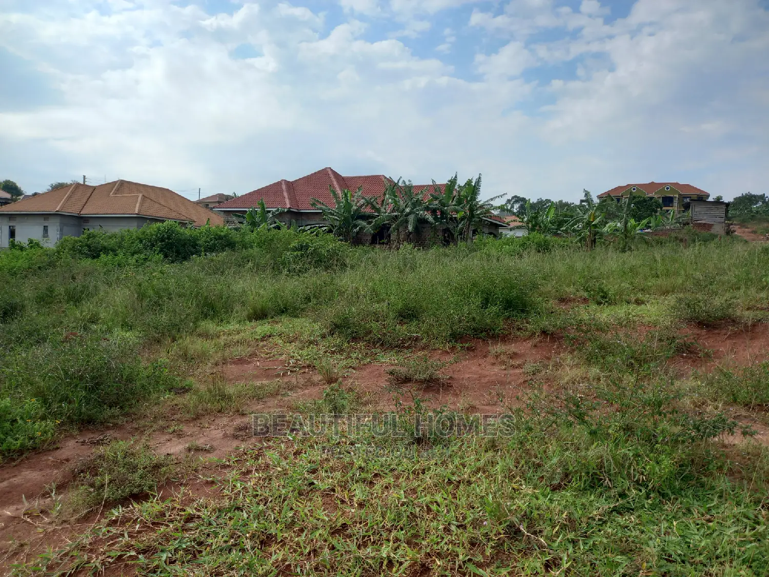 Kira Land on Sell