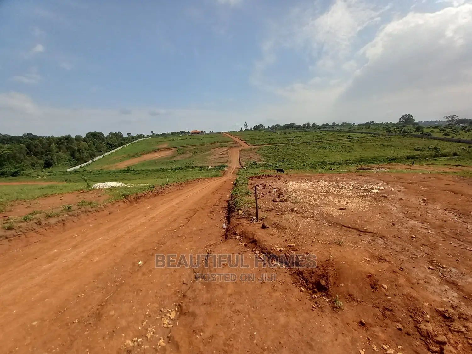 Kasangati 100*100 Gated Land on Sale