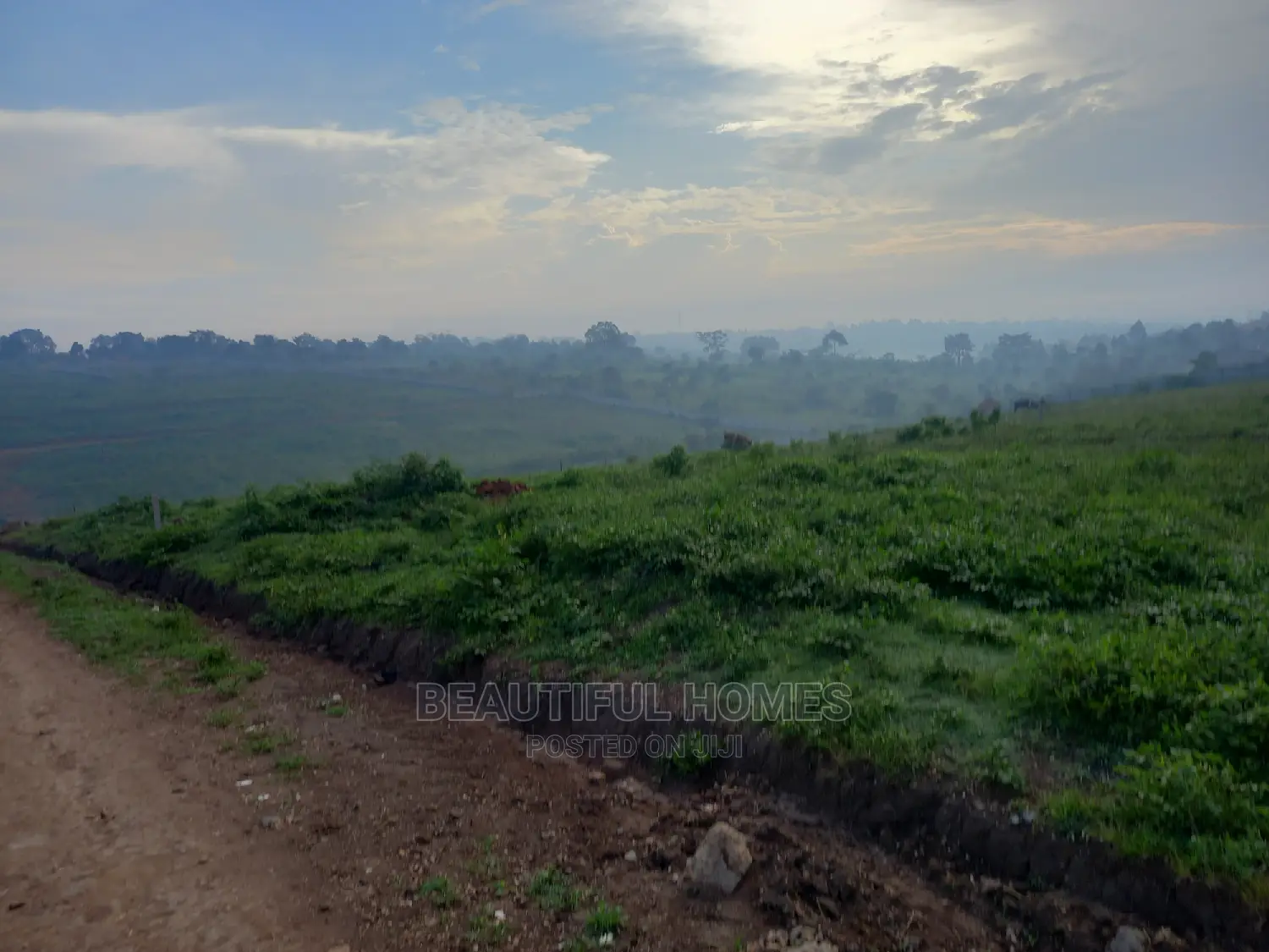 Kasangati 25 Decimals Residential Land on Sell