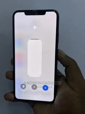 Apple iPhone 11 Pro Max 256 GB Gray