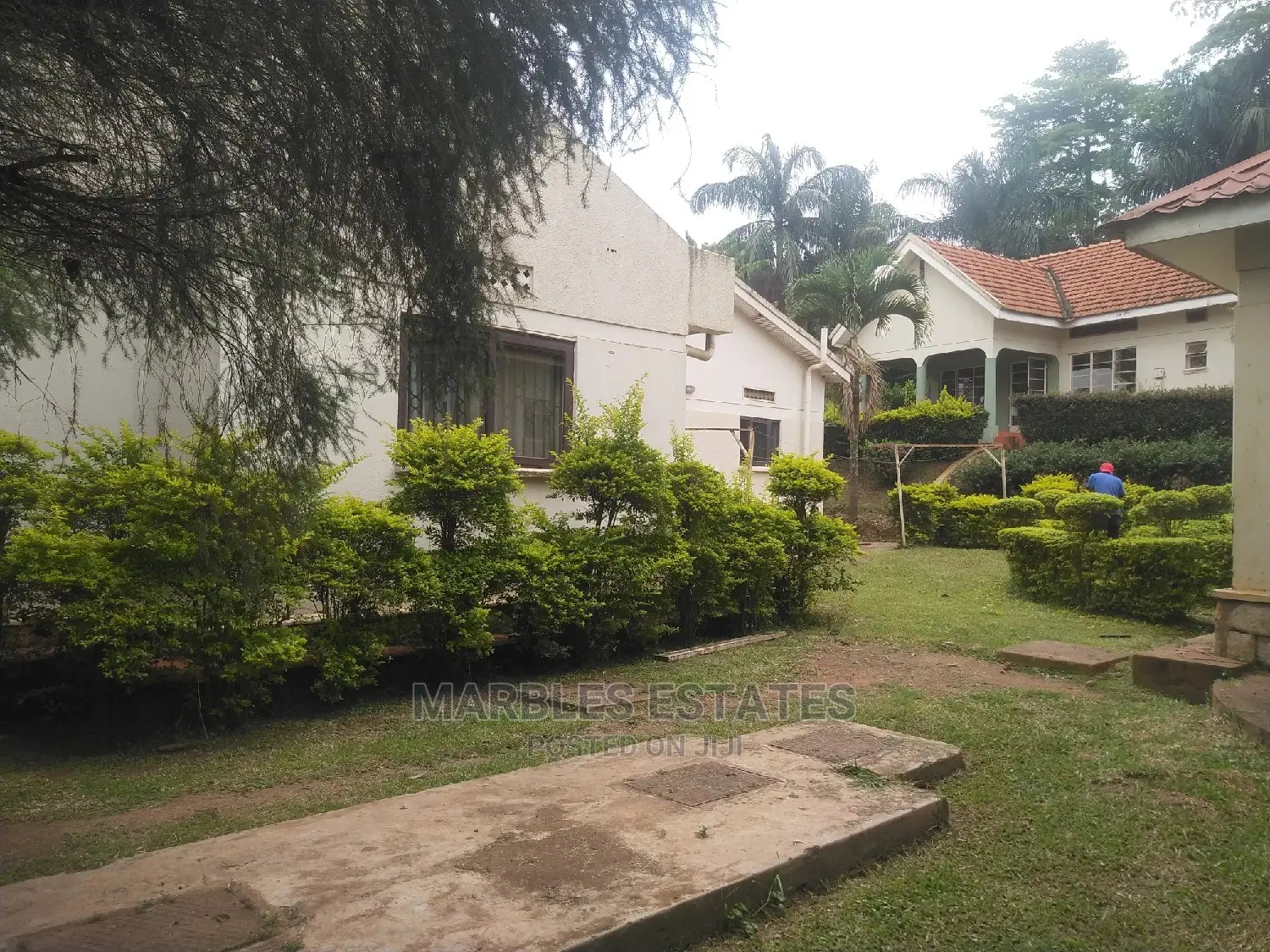 8bdrm Bungalow in Naguru, Central Division for Rent