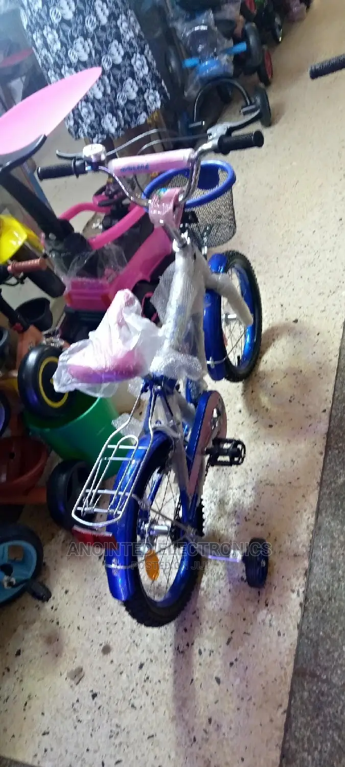 Kids Bikes Blue in Clour