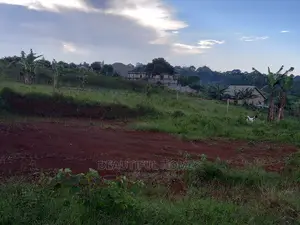 Kira Posh Plots on Sell