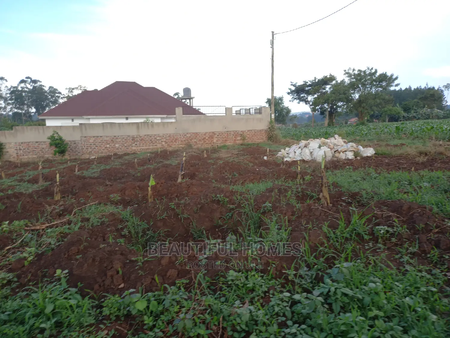 Kira Affordable Land on Market