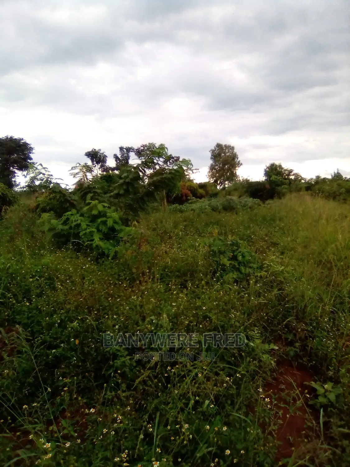 25acres of Farmland for Sale in Wakatayi
