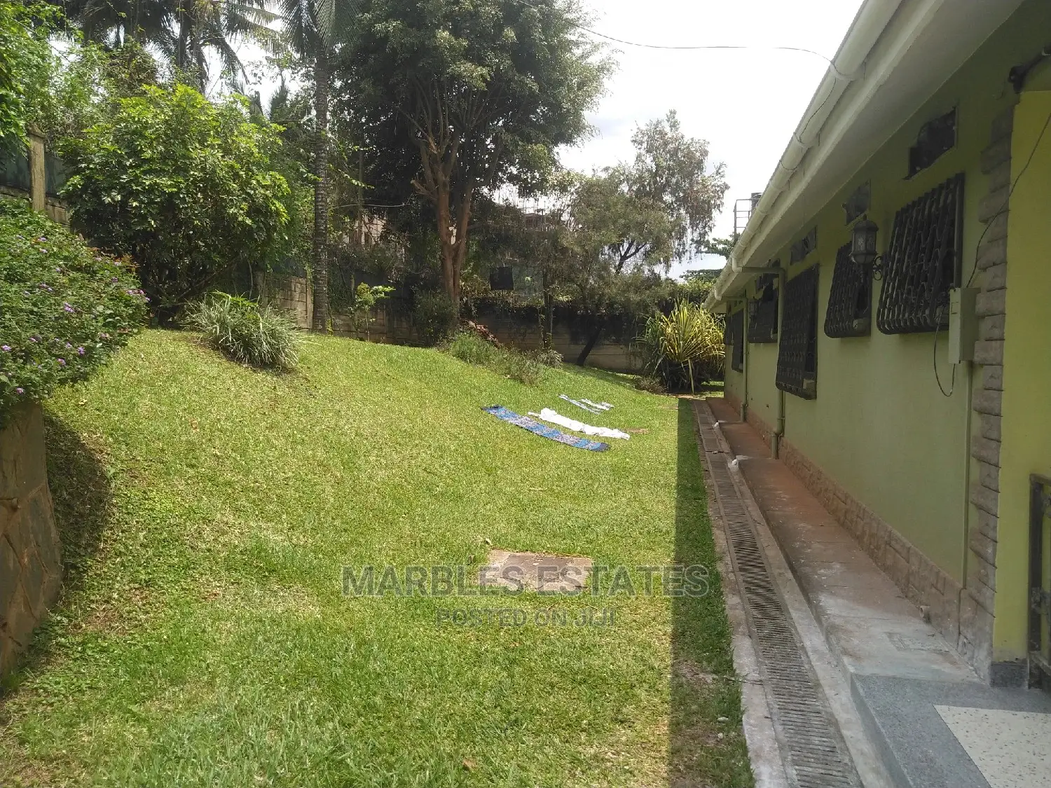 4bdrm Bungalow in Kololo, Central Division for Rent