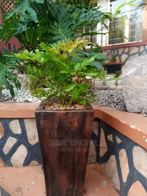 Classic Compound Designing Designs/The Best Land Scarping