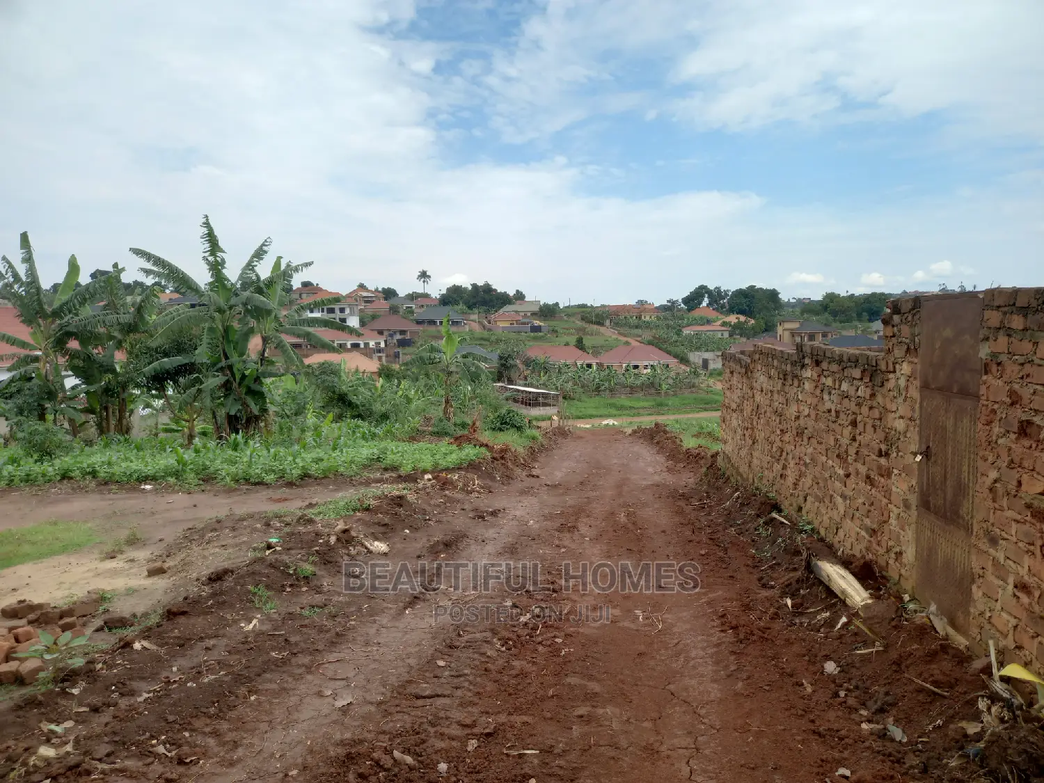 Kira Amazing Land on Sale