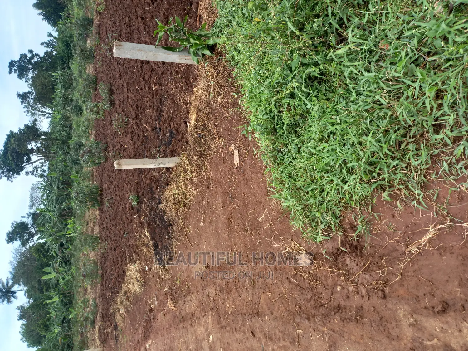 Nakwero Plot for Sell