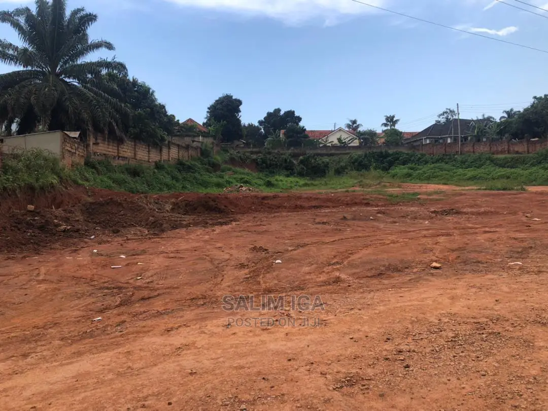 Land on Market