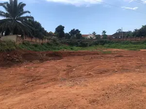 Land on Market