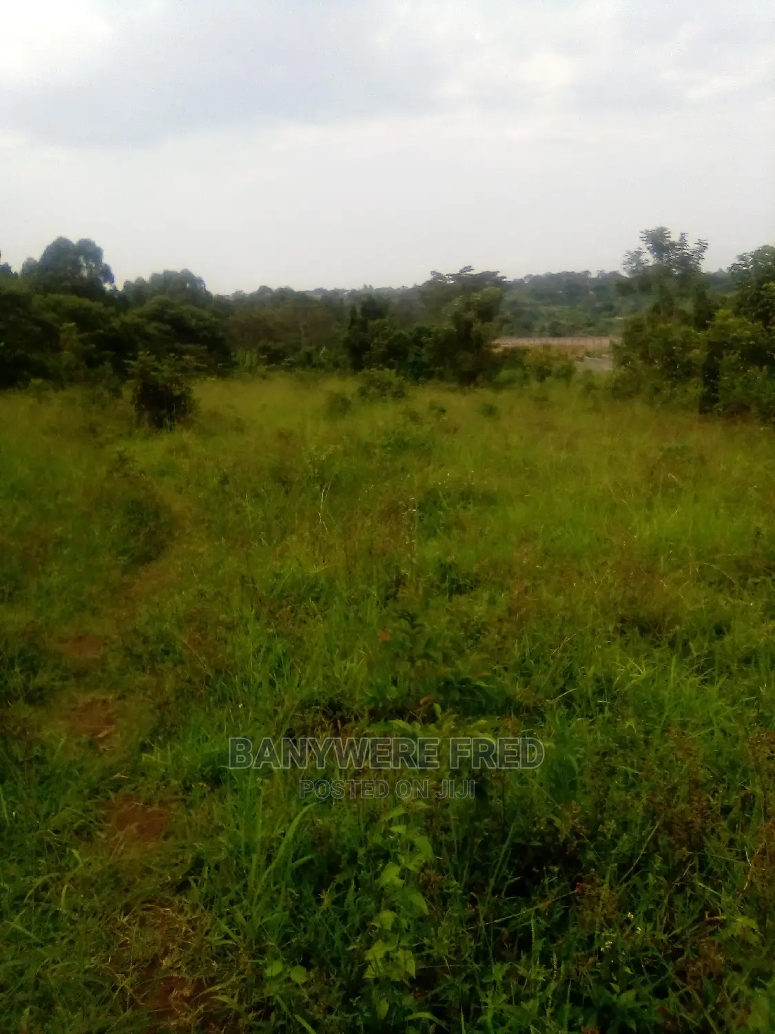 100/100 Plot for Sale in Kiyuga Near Kalagi