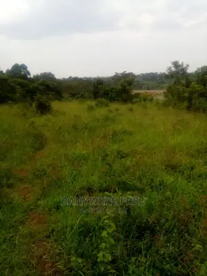 100/100 Plot for Sale in Kiyuga Near Kalagi