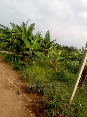 1acre of Land for Sale in Dudu