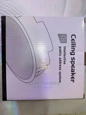 Ceiling Speaker (Yojie)