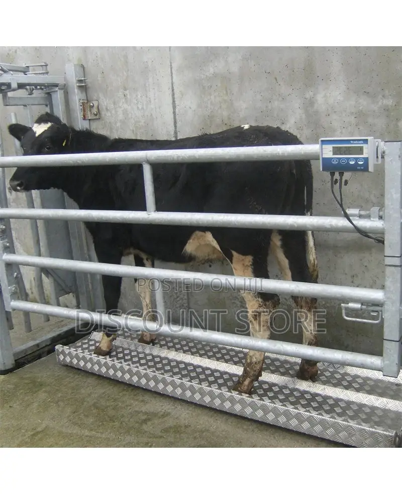Mild Stainless Agricultural Animal Weighing Systems