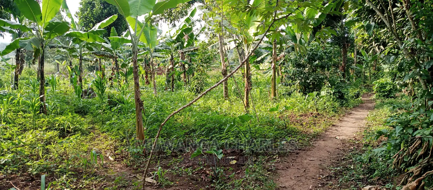Land for Sale in Kiwenda