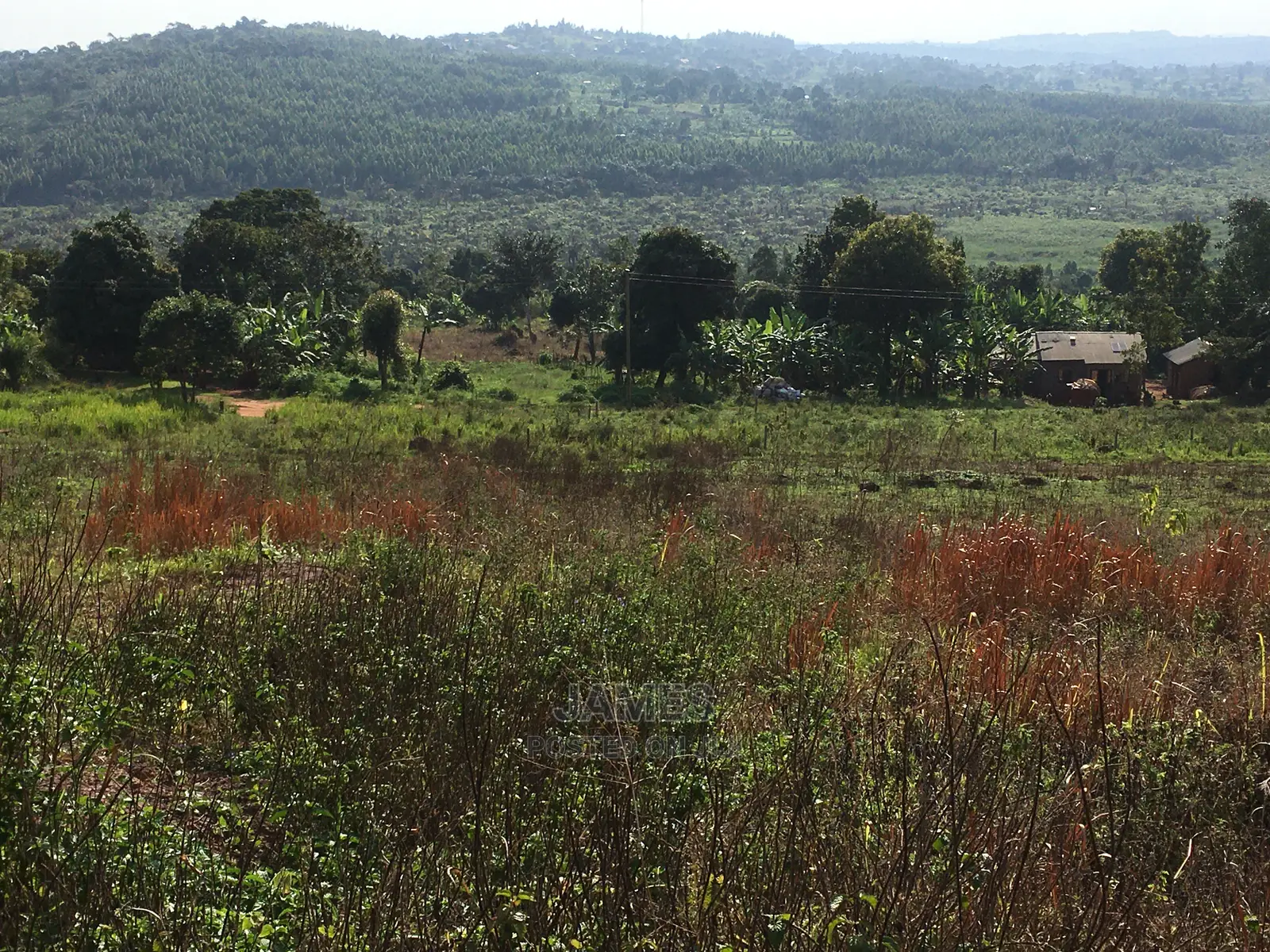 Plot for Sale