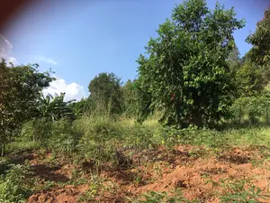 Plot for Sale