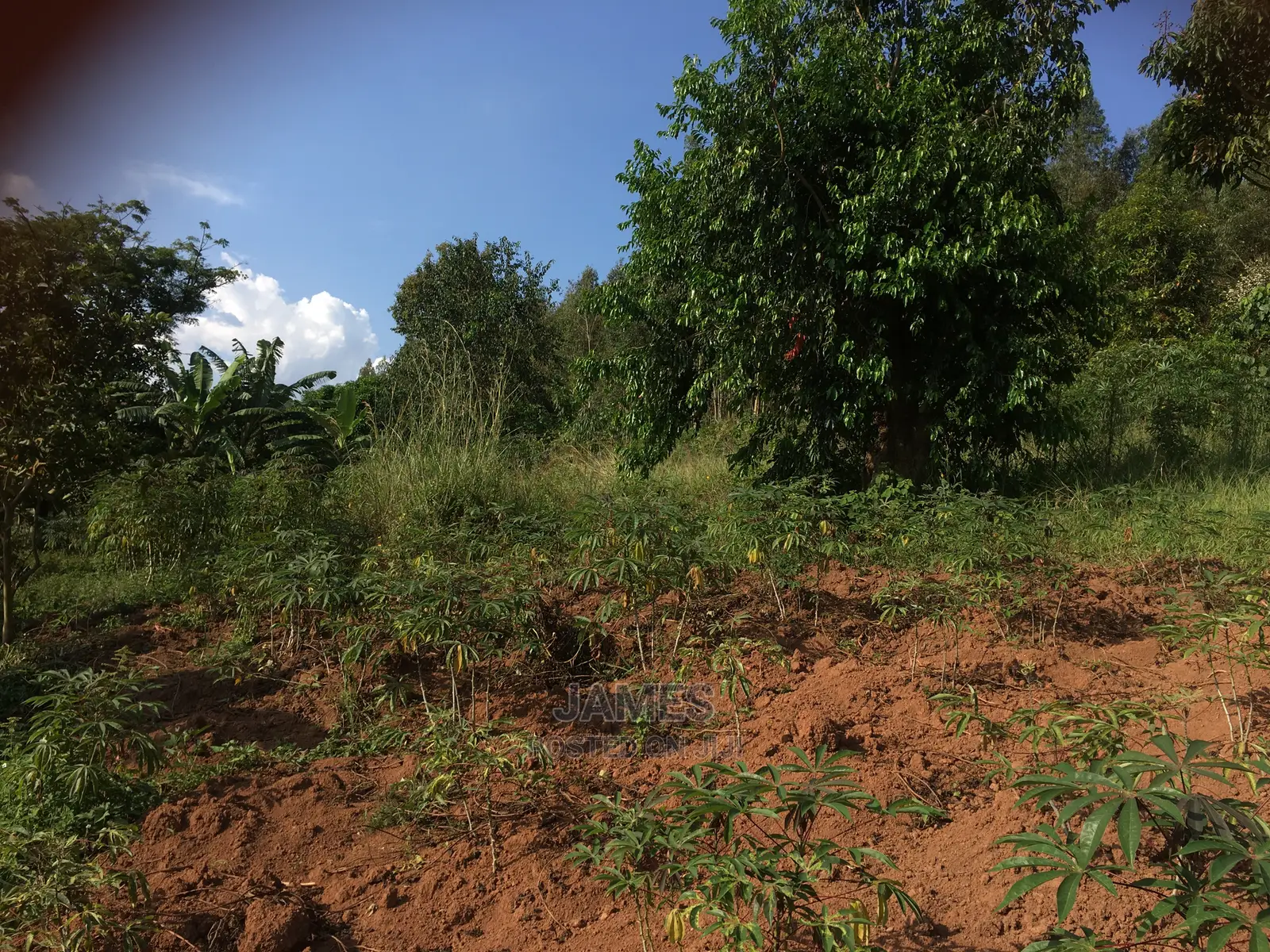 Plot for Sale