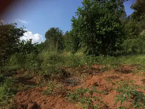 Plot for Sale