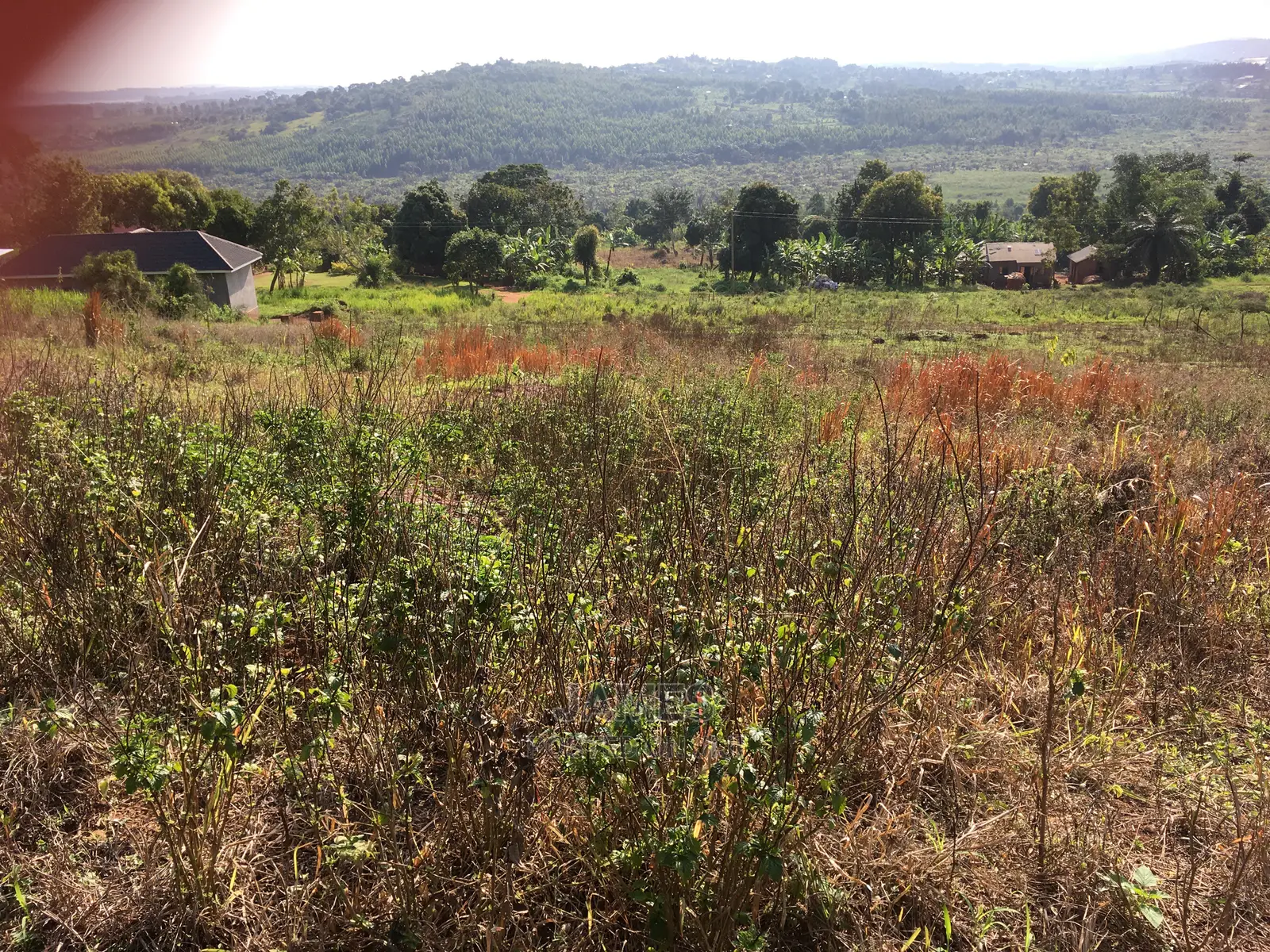 Plot for Sale