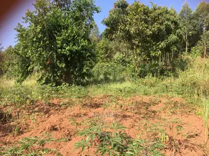 Plot for Sale